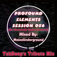 Profound Elements Session #056 (Nu-Disco_Indie Dance Elements)Tokdeep's tribute Mix Mixed By MaizoUnderground (1) by MaizoUnderground