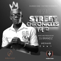 DJ BRANDZ STREET CHRONICLES MIXTAPE VOLUME 12 (HIP HOP, DANCEHALL AND AFRICAN HITS) by Dj Brandz