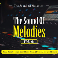 Arijit Singh - Tera Yaar Hoon Main (Tropical House Remix) by Techrider