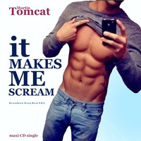 It Makes Me Scream by Tomcat Soundworks