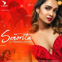 Senorita (Remix) - DJ Paroma by Nagpurdjs Remix