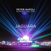 Peter Napoli Live from Burning Man 2018 -PLAY)A(SKOOL | Jaguara Art Car by Peter Napoli