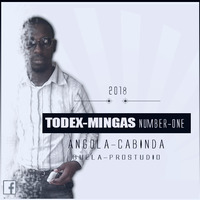 Todex Mingas - Mete Lá (Afro House) Download Mp3 [Mingas 9Dades] by Todex Mingas [Mingas 9Dades]