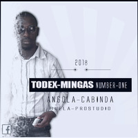 Todex Mingas 9Dades - Treme Treme (Afro house) Download Mp3 [Mingas 9Dades] by Todex Mingas [Mingas 9Dades]