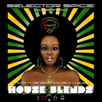 House Blends (For the Groove in You) by Selector Spice (DJ Smak)