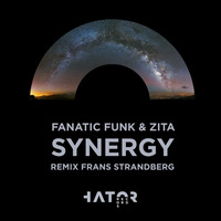 Fanatic Funk &amp; Zita - Synergy (Club Edit) by Fanatic Funk