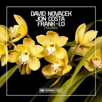 DAVID NOVACEK, JON COSTA &amp; FRANK-LO- Feelings (Original Mix) by David Novacek