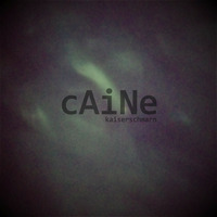c@iNe - Kaiserschmarrn (Original Mix) by SteveCaineMusic