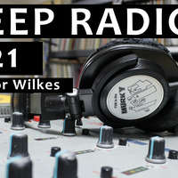Bleep Radio #421 w/ Trevor Wilkes by Bleep Radio w/ Trevor Wilkes [Fun in the Murky!]