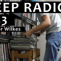 Bleep Radio #423 w/ Trevor Wilkes by Bleep Radio w/ Trevor Wilkes [Fun in the Murky!]