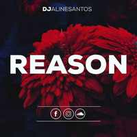 Reason - Pocket set -DJ ALINE SANTOS by ALLI