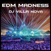 EDM Madness by TIM DICE