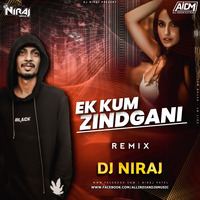 Ek Kum Zindgani (Remix) DJ Niraj by ALL INDIAN DJS MUSIC