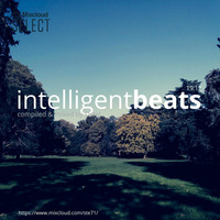 Intelligent beats '19.12 by STE