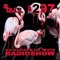 ESIW297 Radioshow Mixed by Double C by Es schallt im Wald