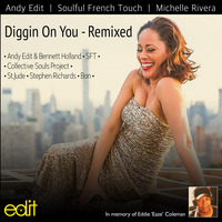 Andy Edit, SFT &amp; Michelle Rivera - Diggin On You - Remixed