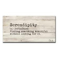 Serendipity by Tony Stewart
