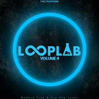LoopLab Vol. 4 Demo Beat by Producer Bundle