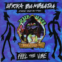 Afrika Bambaataa - Feel The Vibe by Roberto Freire 02