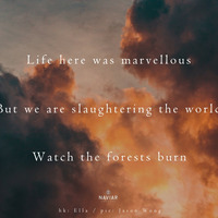 Whalt Thisney - Watch the forests burn by Walt Thisney ( Naviarhaiku311 ) by Naviar Records