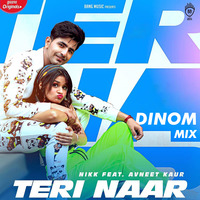 Teri Naar - DINOM Mix by DJ DINOM