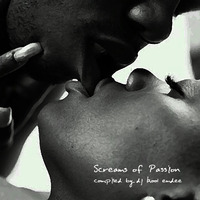 Screams of Passion by DJ Kool Emdee