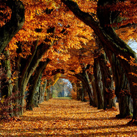 deep autumn mix by Dreadz & Beau_Tox