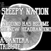 SLEEPY NATION: A Pantera Music Video Tribute (YouTube-link included!) by TOOИ