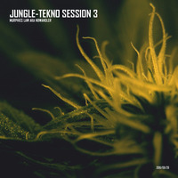 Jungle Sessions Mixcast #3 | Murphies Law - Amens by Murphies Law
