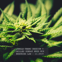 Jungle Sessions Mixcast #5 | Murphies Law - Chilled Sunday Mood Mix by Murphies Law