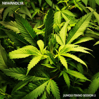 Jungle Sessions Mixcast #2 | Murphies Law - Good Vibe Tekno by Murphies Law