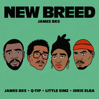 James BKS feat. Q-Tip, Idris Elba &amp; Little Simz - New Breed (dj edit) by Platurn