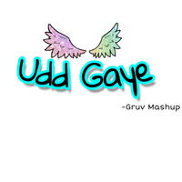 Udd Gaye-Gruv Mashup by Gruv