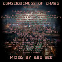 Consciousness Of Chaos by Bus Bee