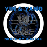 Yin &amp; Yang by Bus Bee