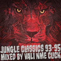 Vali NME Click@ Bass Odyssey (Jungle Classics 1993-1995 recorded live at Rosis Berlin 27th July 18) by Vali Nme Click