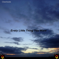 Every Little Thing you want by Cleerbeats