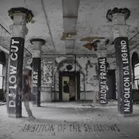 DJ Low Cut - Ambition Of The Shallows Ft. Napoleon Da Legend &amp; Paloma Pradal (Rmx) by Darren-Neill