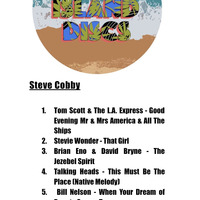 Steve Cobby - Desert Island Discs - 9th November 2019 by Steve Bignell
