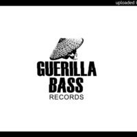 Programs In Memory - There's Nothing To Be Afraid Of (Guerilla Bass Records) by Programs In Memory