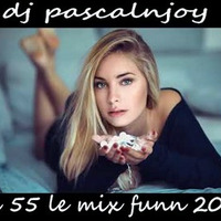 dj pascalnjoy vol 55 le mix funn 2019 by DJ pascalnjoy