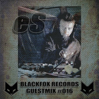 Blackfox Records guestmix #016 by eS by BLACKFOX RECORDS