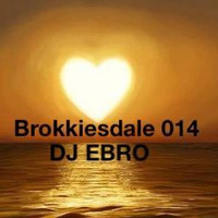 DJ Ebro - Brokkiesdale 014 by DJ Ebro