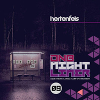 DNB Nightliner 2K19 No9 by Hertenfels
