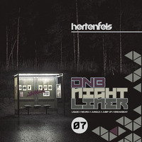DNB Nightliner 2K19 No7 by Hertenfels