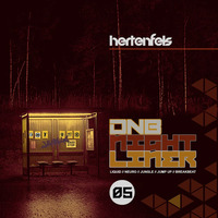 DNB Nightliner 2K19 No5 by Hertenfels