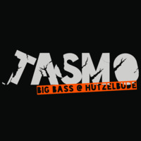 Tasmo - Big Bass @ Hutzelbude (36c3) by tasmo