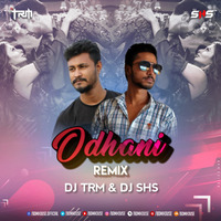 ODHANI (TAPORI MIX) - DJ TRM &amp; DJ SHS by BDM HOUSE