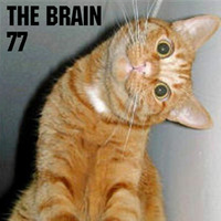 The Brain - Die Mini-Dadashow #77 by Pi Radio