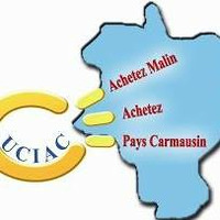 L'union des commerçants, industriels et artisans du Pays Carmausin by Radio Albigés